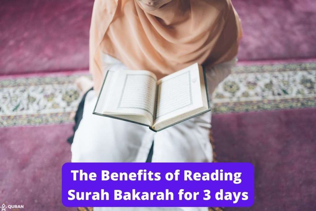 woman reading quran to illustrate the benefits of reading surah baqarah