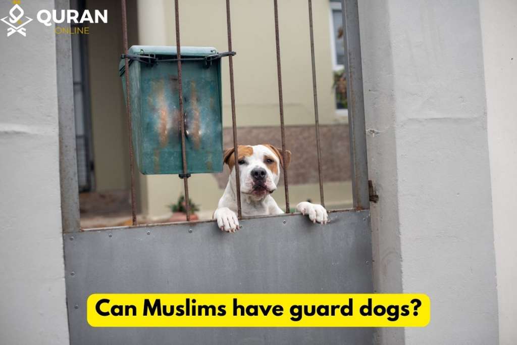 a guard dog to answer is it haram to have a dog for protection 