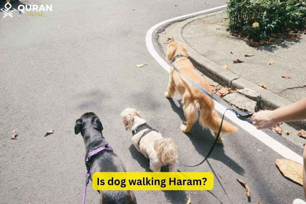 man walking three dogs to answer is dog walking haram