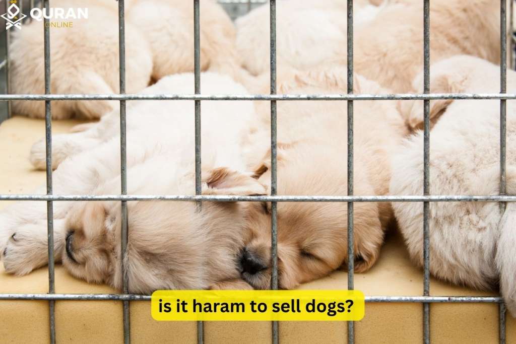 puppies in a cage to answer is it haram to breed and sell dogs