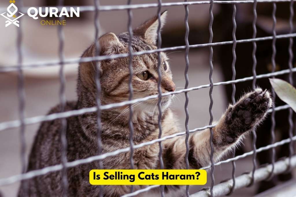 cat in a cage to answer is selling cats haram in islam