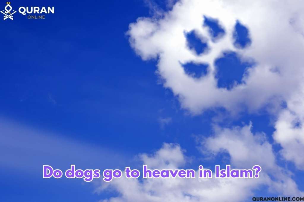 paws in clouds to answer Do Dogs Go to Heaven in Islam?