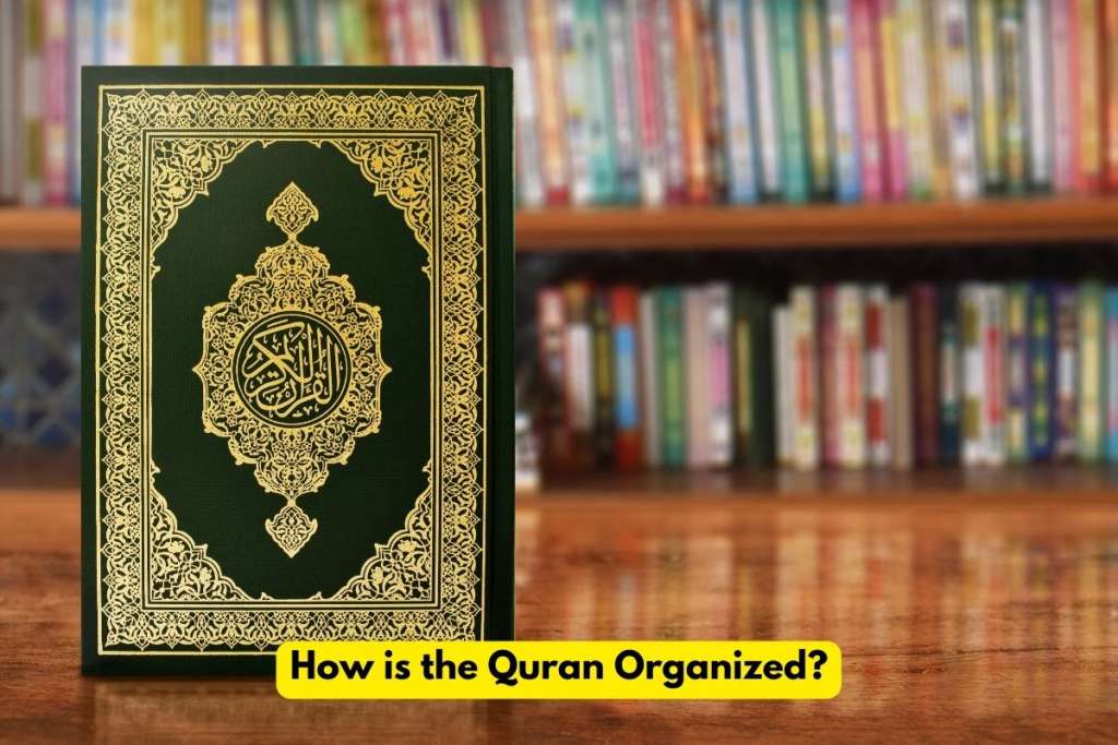 Quran with other books to show how is the quran organized